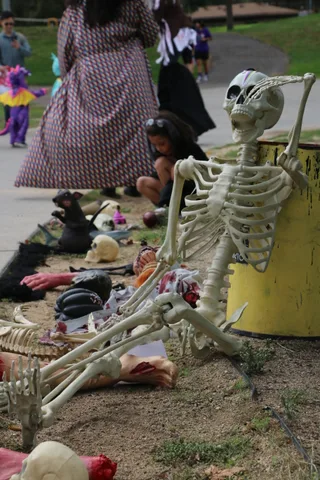 A close view of a skeleton ribcage prop decoration.