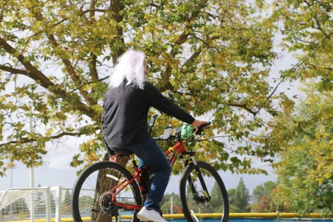 A person in a white wig rides a decorated bicycle away from the camera.