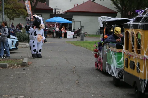 A person in a cow costume walks beside the decorated parade train cars.