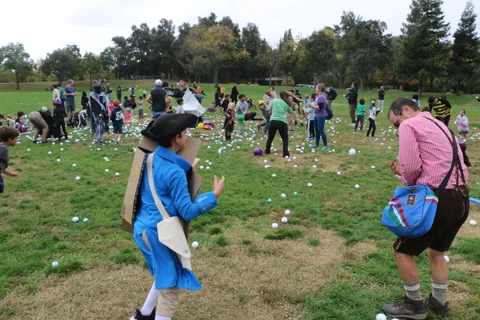 A pirate-costumed man throws a white ball as a huge crowd spreads across the park field behind him.