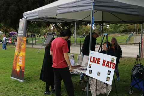 A person browses an educational bat conservation booth.