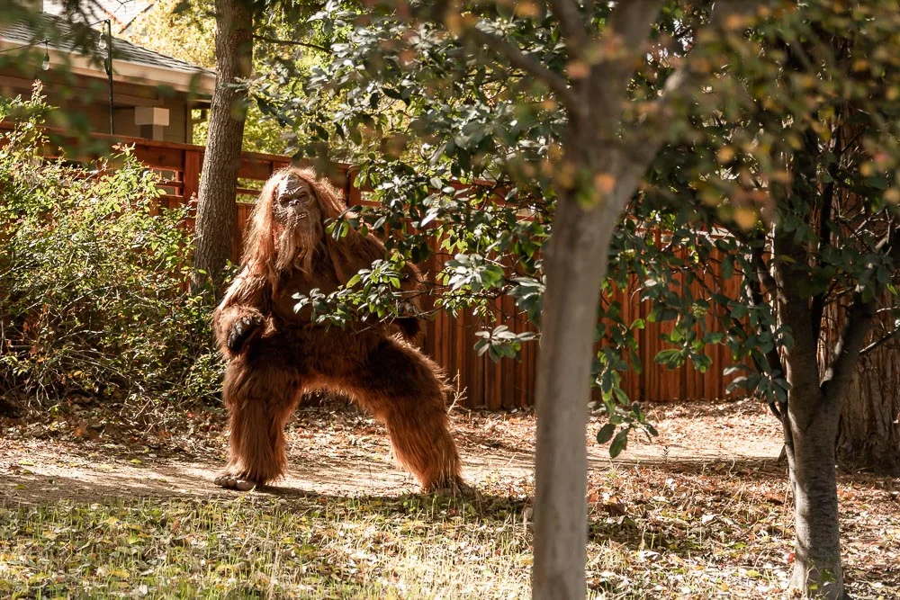 Photographer Becomes Famous Catching Big Foot at Zombie Fest