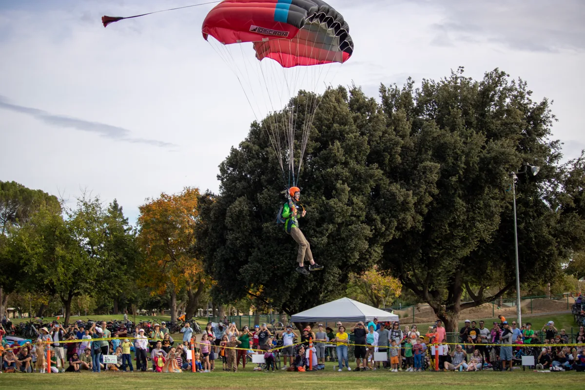 A skydiver descends between the trees as a crowd watches from the park below.