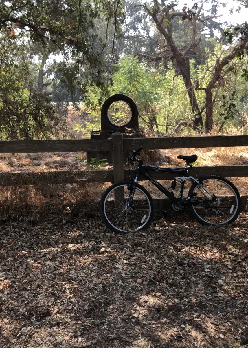 A bicycle is locked to a wooden fence in a wooded area.