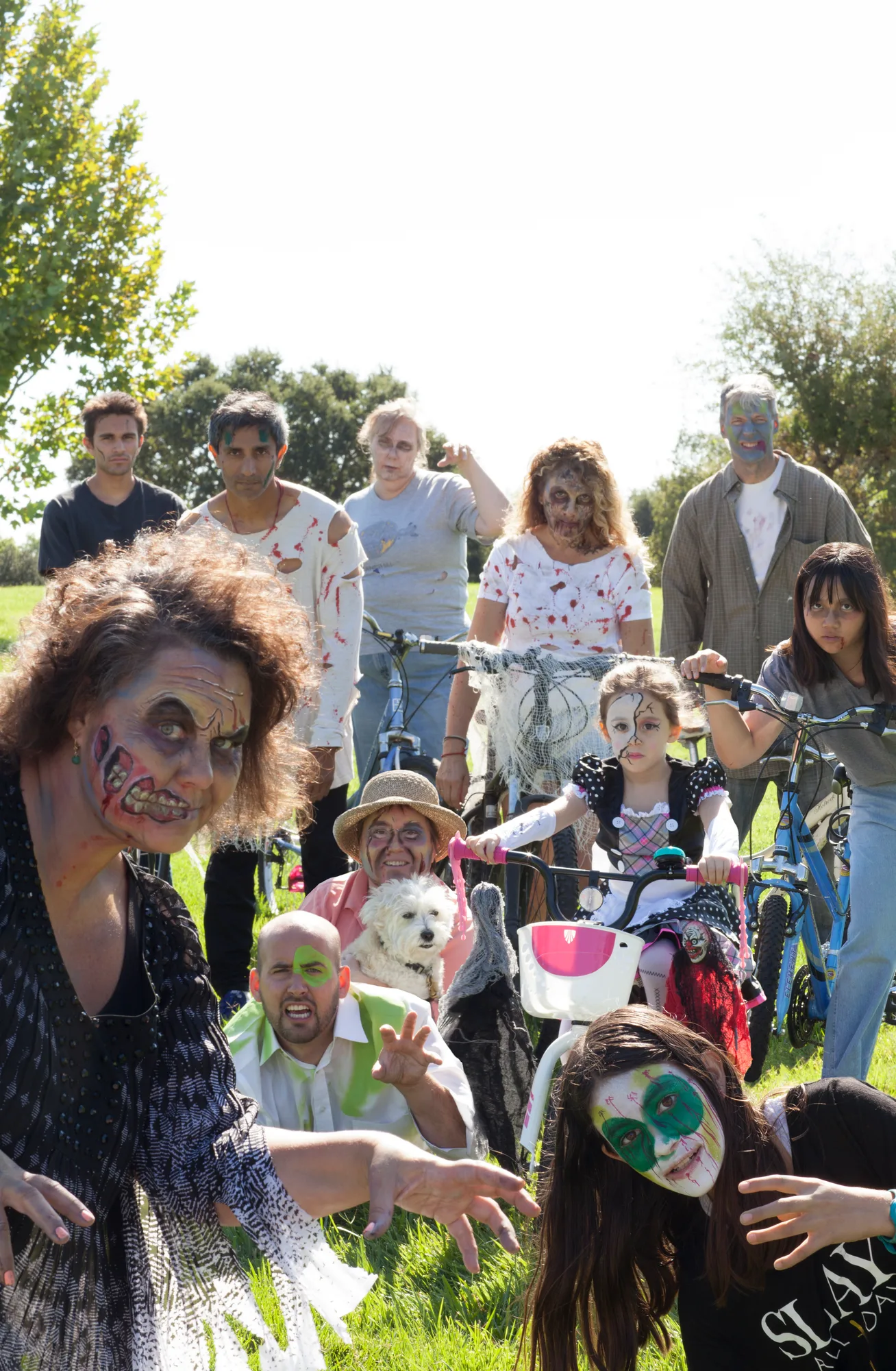 Herd of Zombies ride again