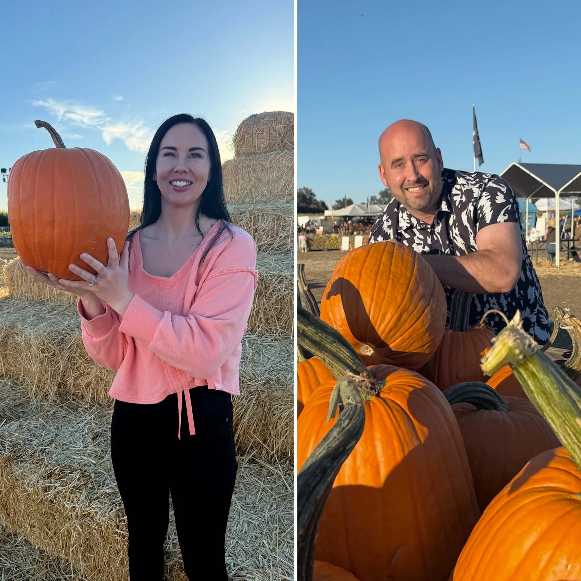 Bobby Dazzler's Pumpkin Patch